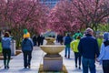 People Enjoying Elmwood Park and Elmwood Art Walk, Roanoke, Virginia, USA Royalty Free Stock Photo